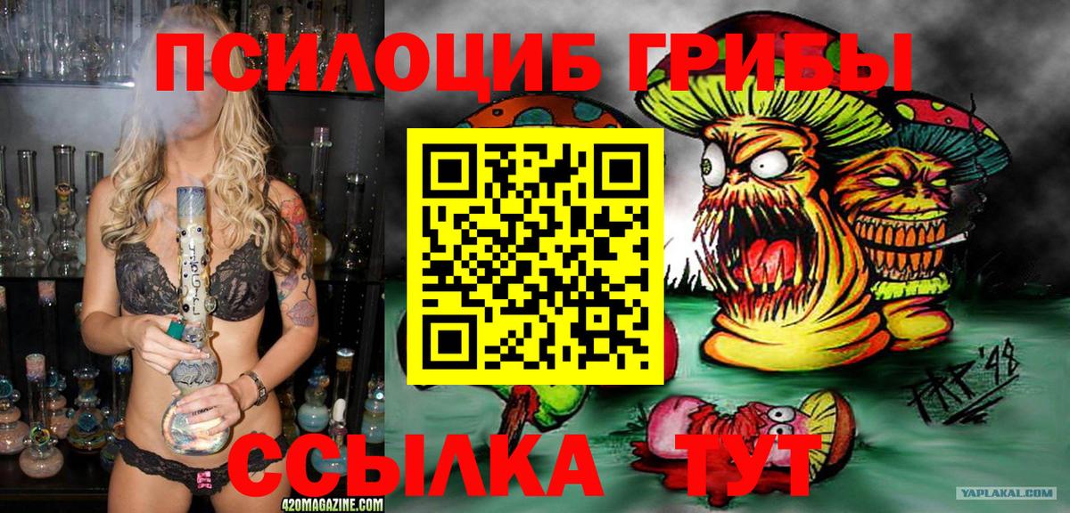Псилоцибиновые грибы Magic Shrooms Грозный